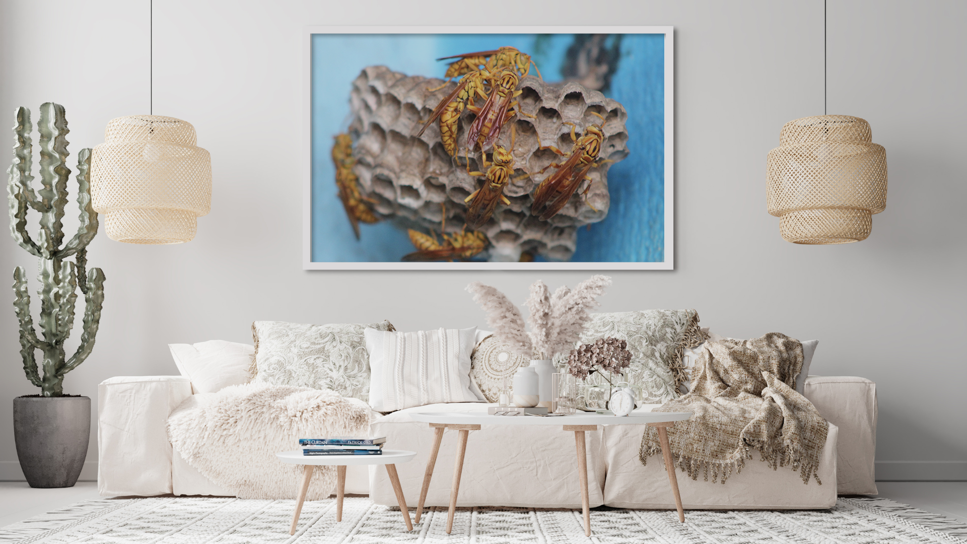 Wasp and Nest original abstract contextualised office art modern decor photo print by Blair Montague Drake